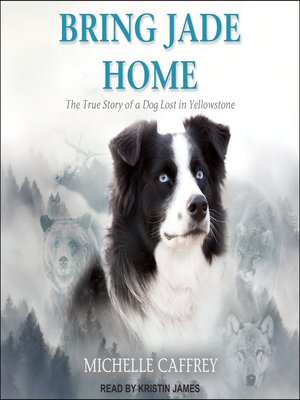 cover image of Bring Jade Home